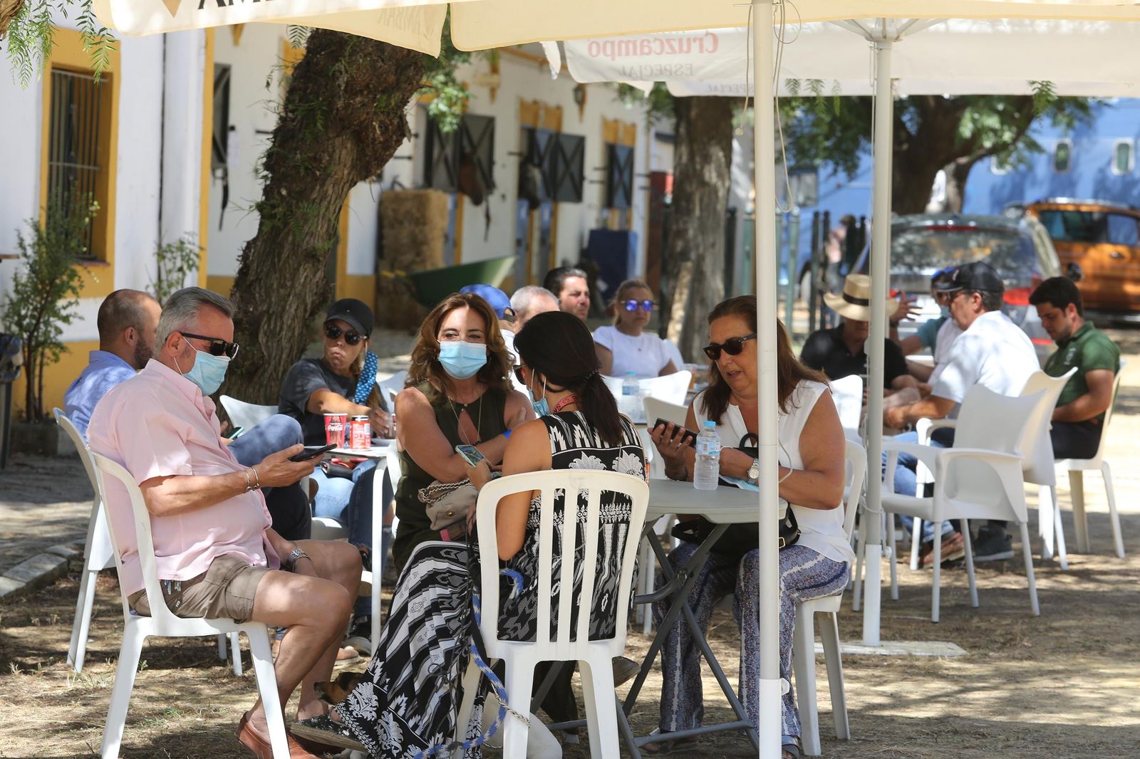 El concurso de doma reabre Sementales