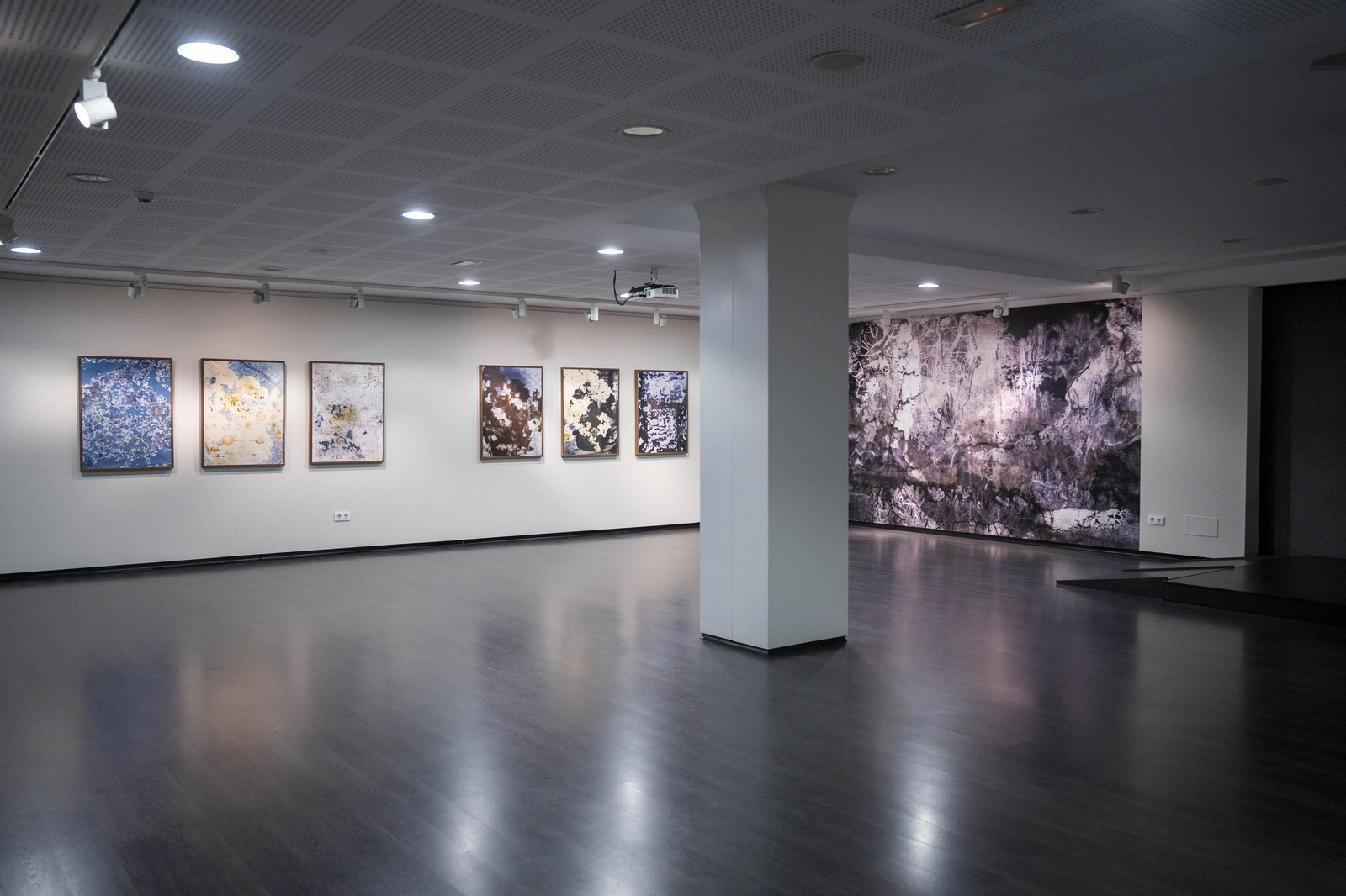 El comisario Sema D'Acosta y el artista Joan Fontcuberta presentan la exposición Háptica de la Fundación Unicaja