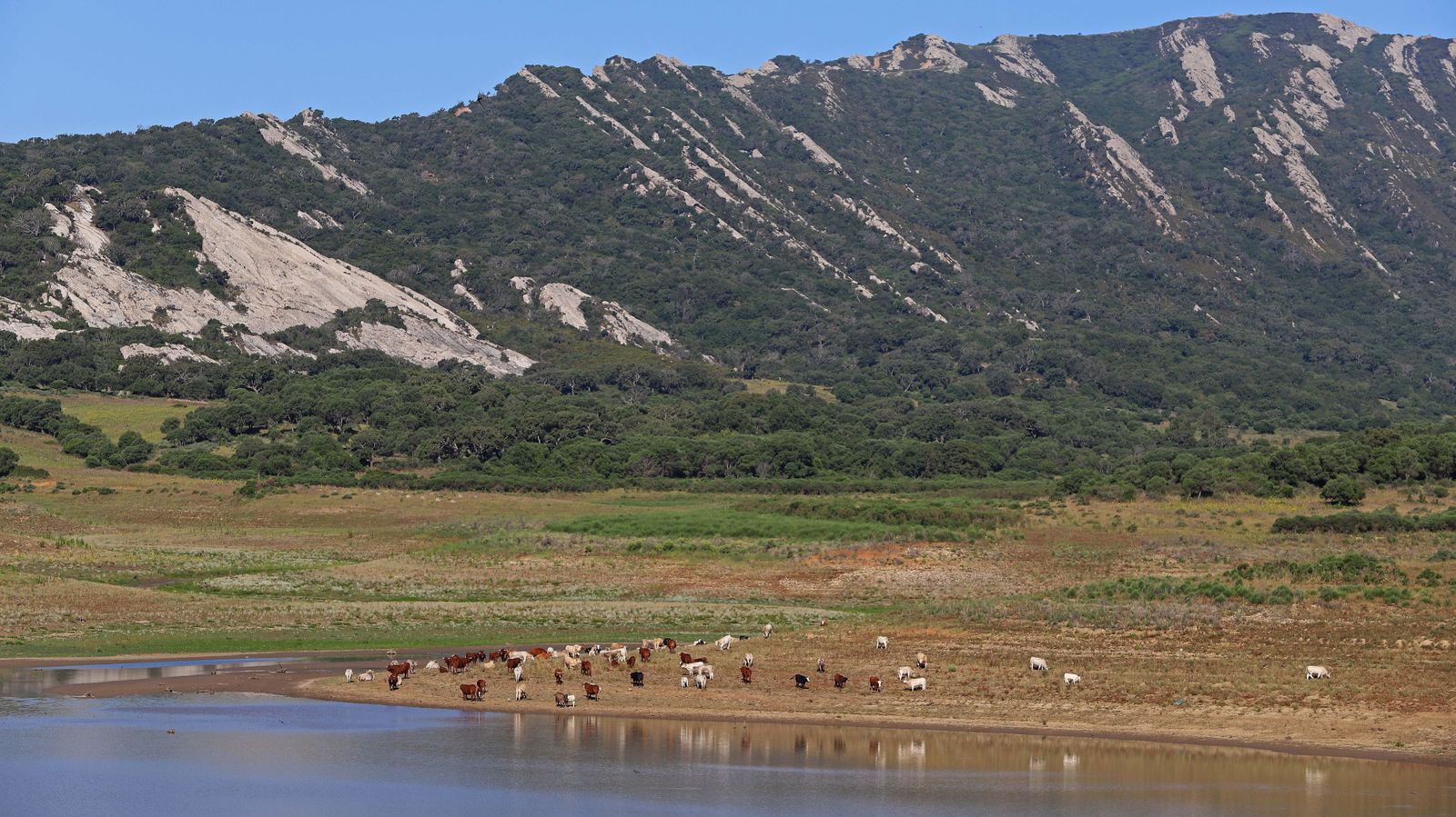 Embalse de Charco Redondo en Los Barrios