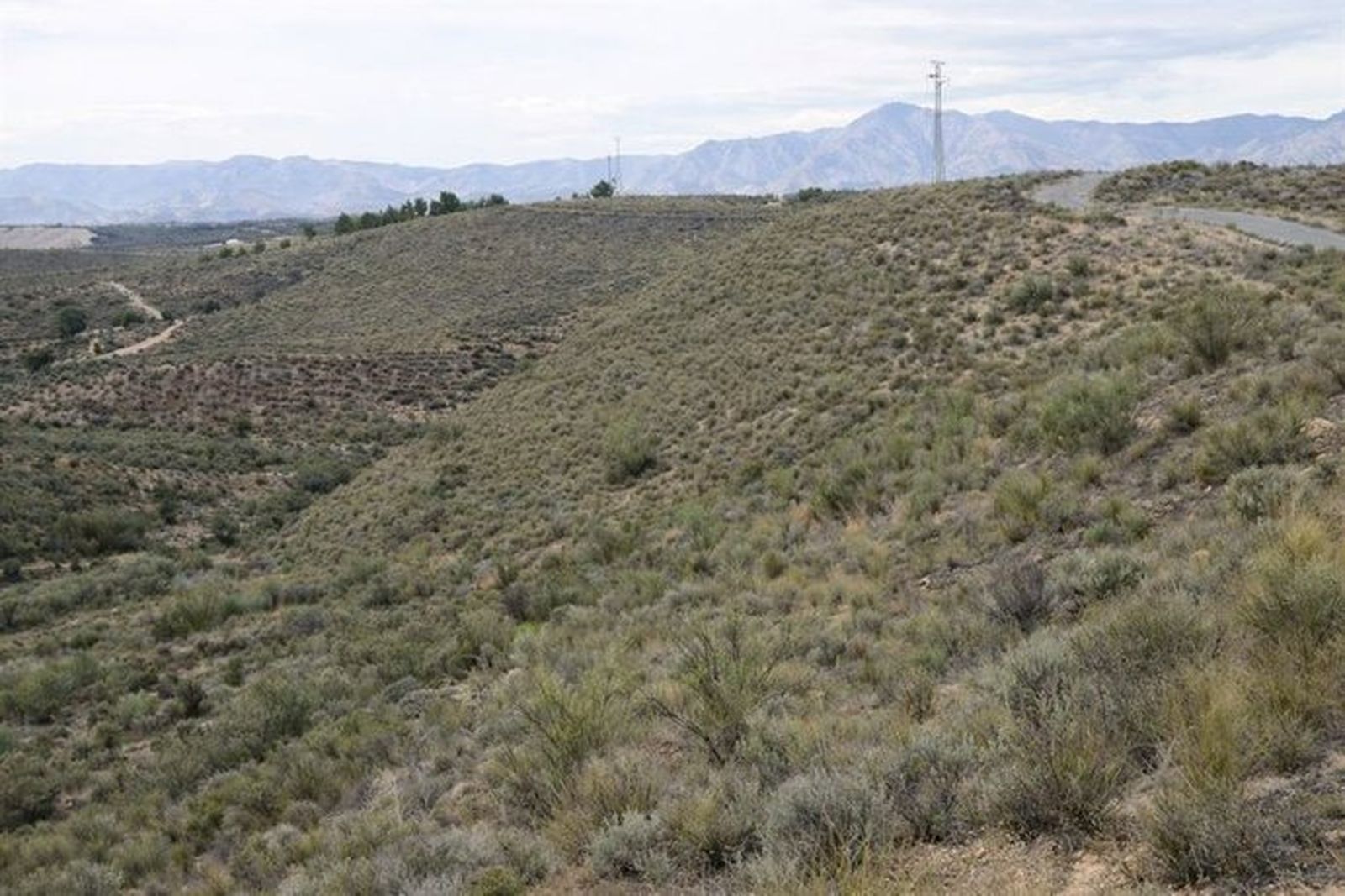 Ladera del paraje Los Guapos, en Sorbas.