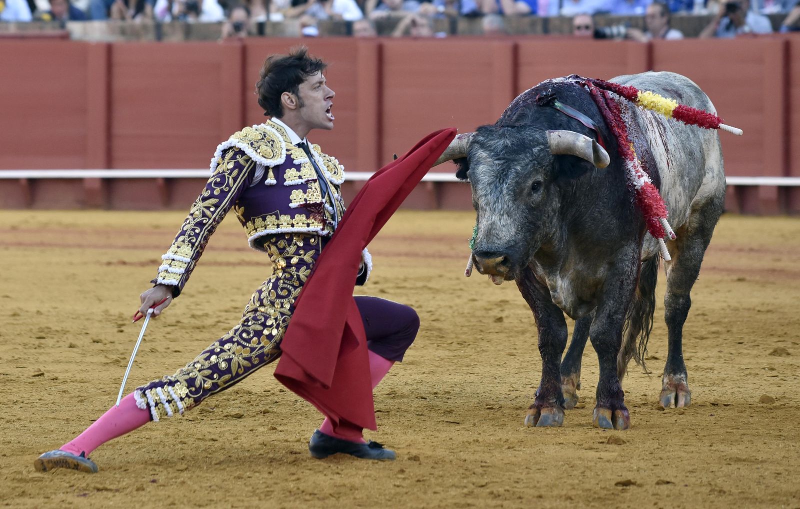 La 14ª de abono en la Real Maestranza de Sevilla, en imágenes