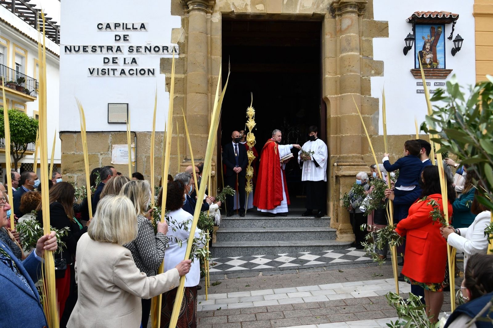Las fotos del domingo de palmas y olivos en San Roque