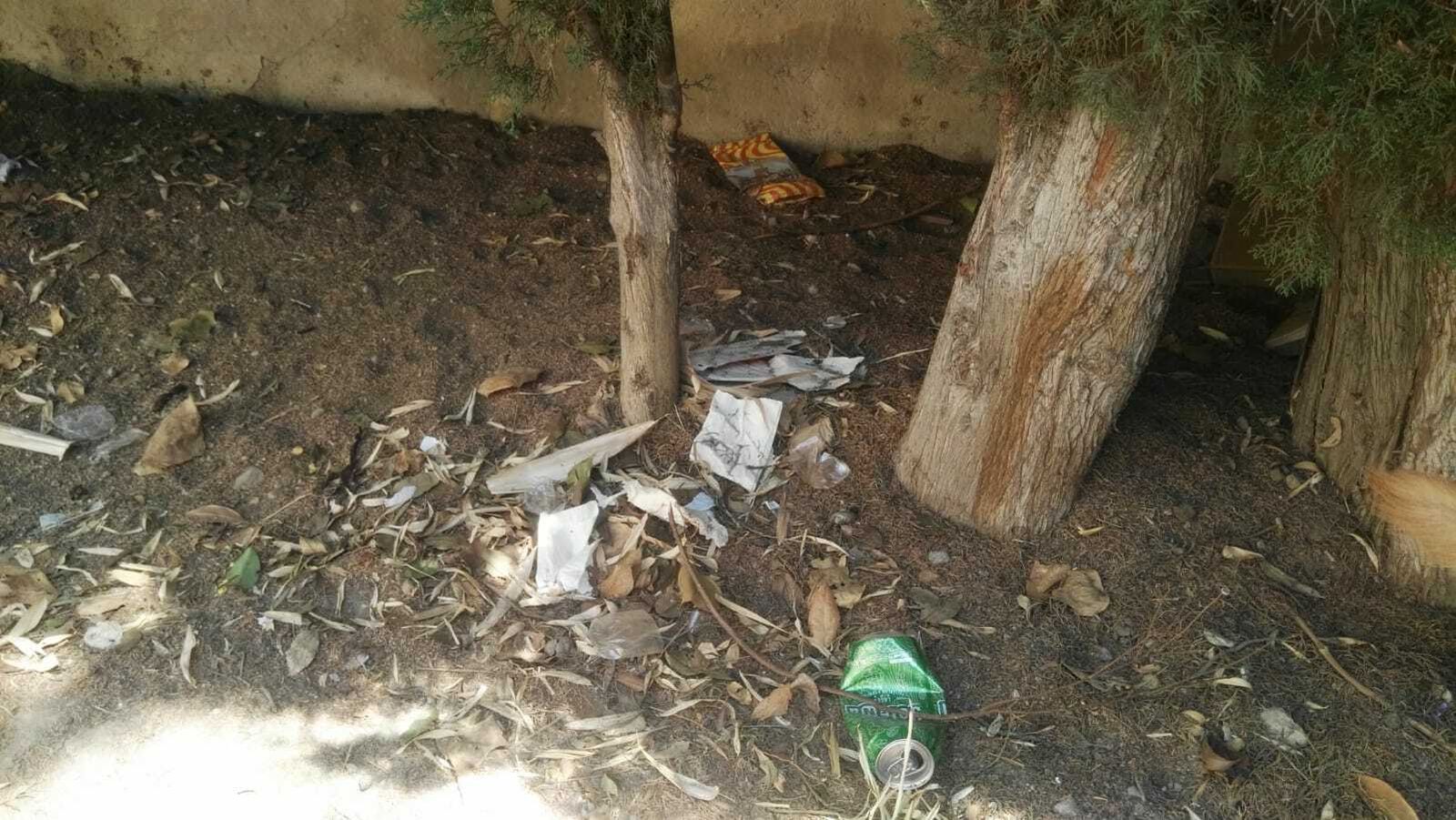 Las imágenes del estado del parque del Cuarto Real de Santo Domingo