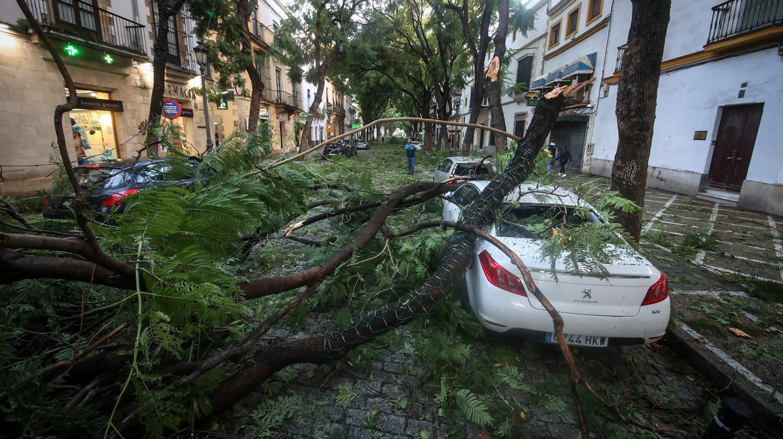 Caos en Jerez por los destrozos del temporal de viento