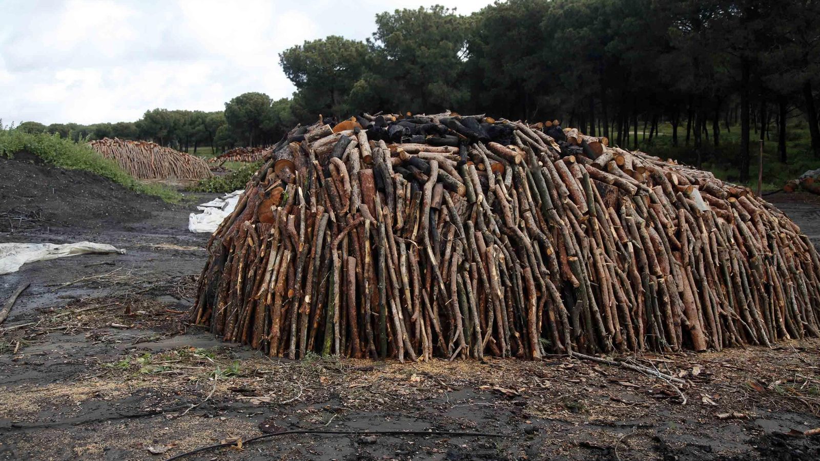 Un boliche en Cartaya antes de ser cubierto de 'chasca' y tierra
