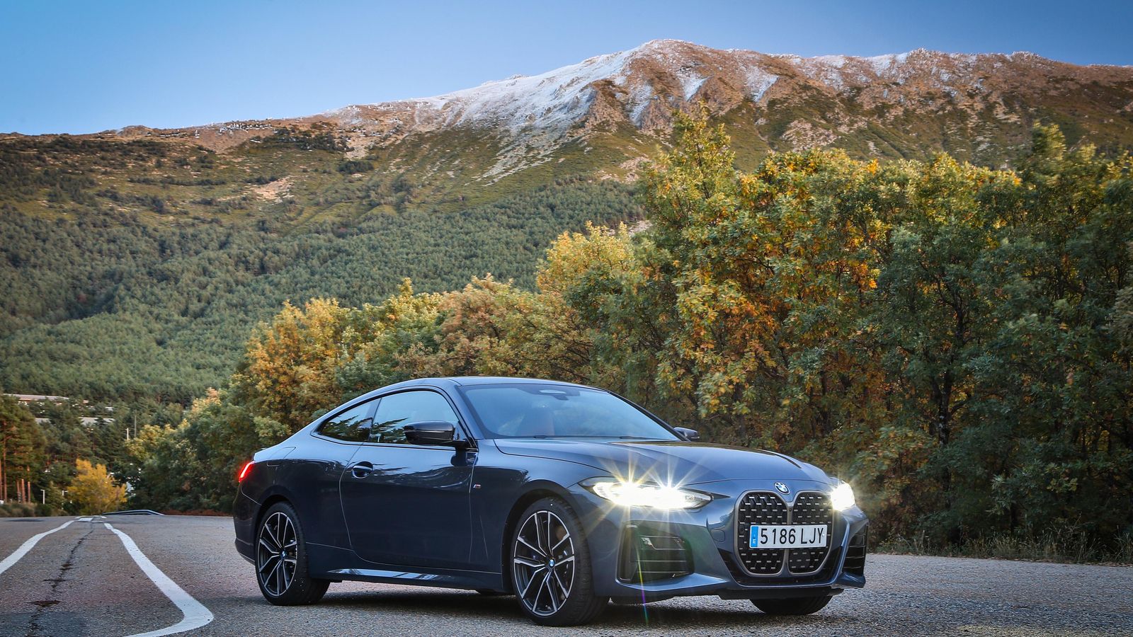 El frontal diferencia notablemente al Serie 4 de los Serie 3 con los que está emparentado.