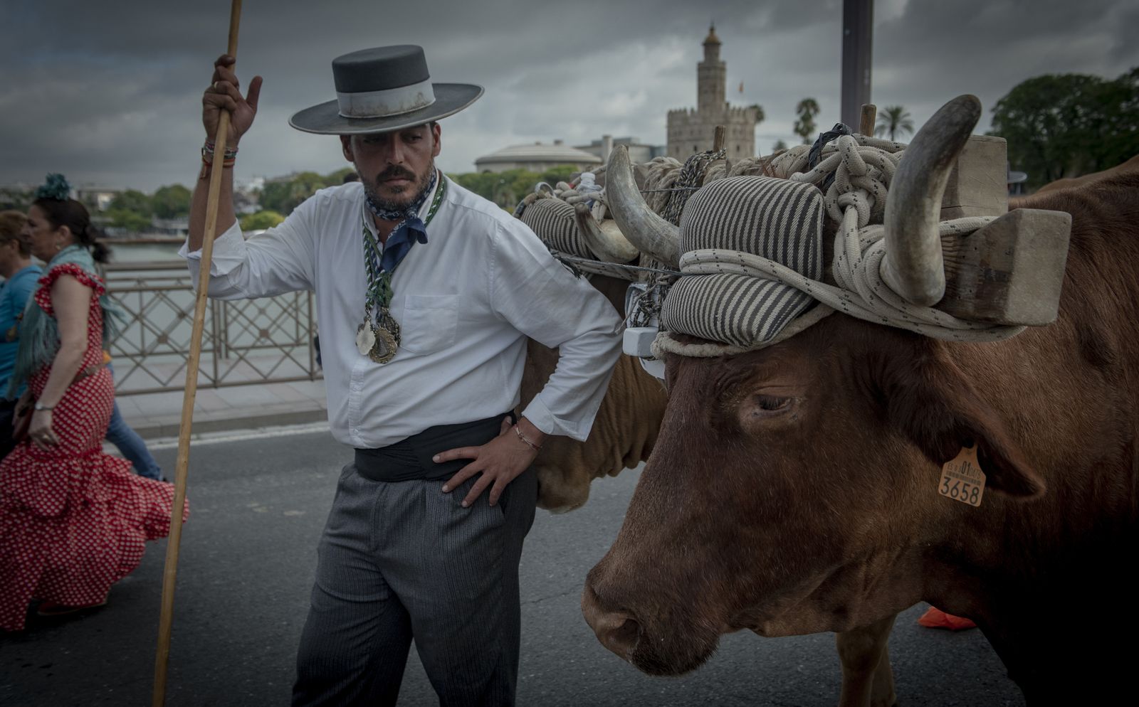 Las imágenes de la salida de la Hermandad del Rocío de Sevilla