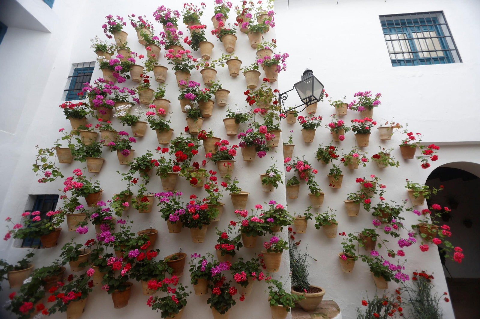 Los Patios del Palacio de Viana, en imágenes