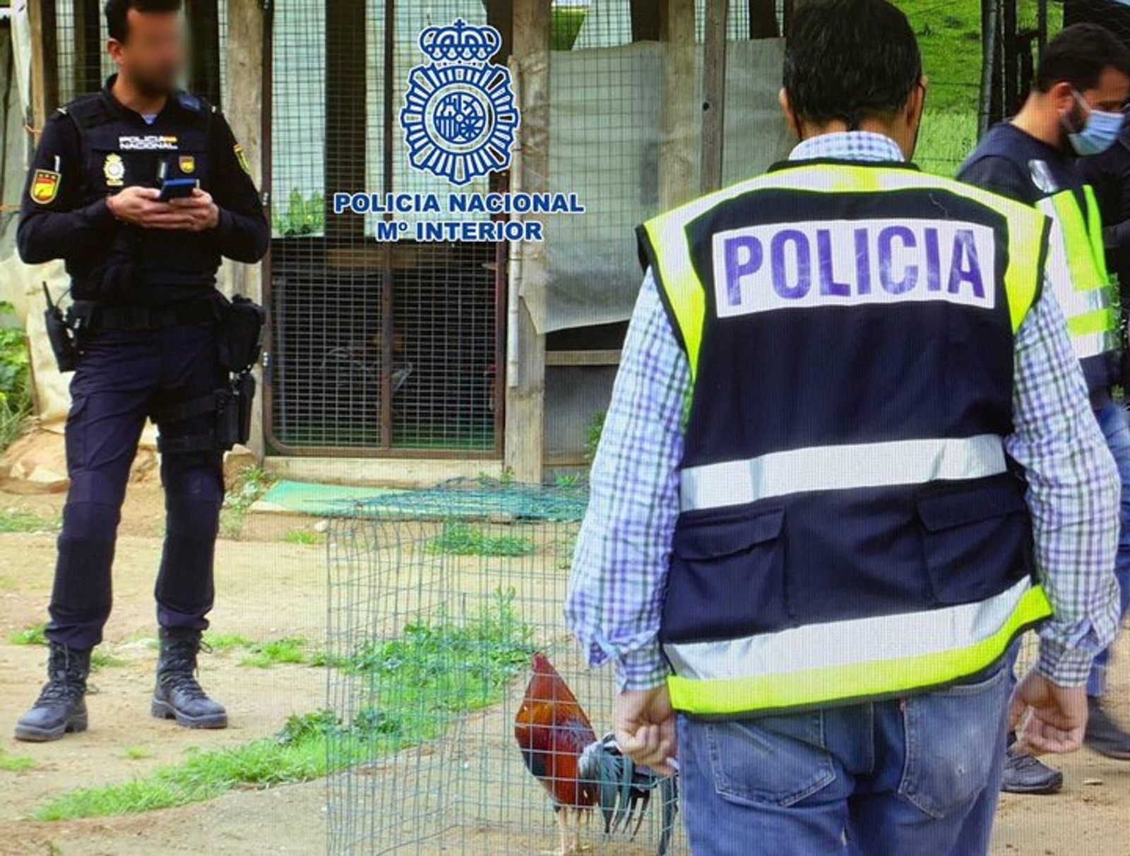 Imagen distribuida por la Policía Nacional referida a la operación Gladiador.