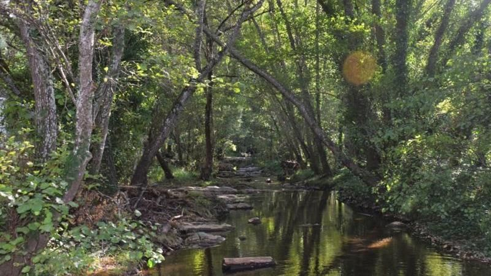 Isla Margarita o Isla del Pescador