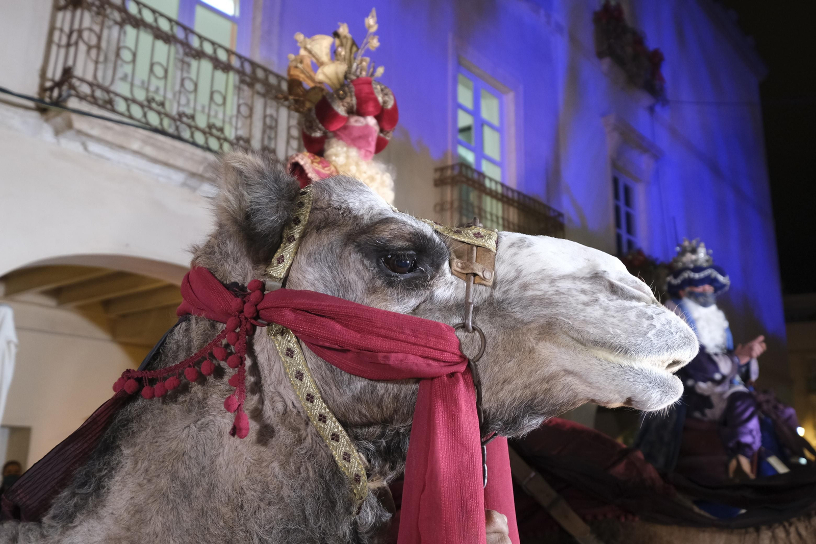 Fotogalería Cabalgata Reyes Magos. Almería
