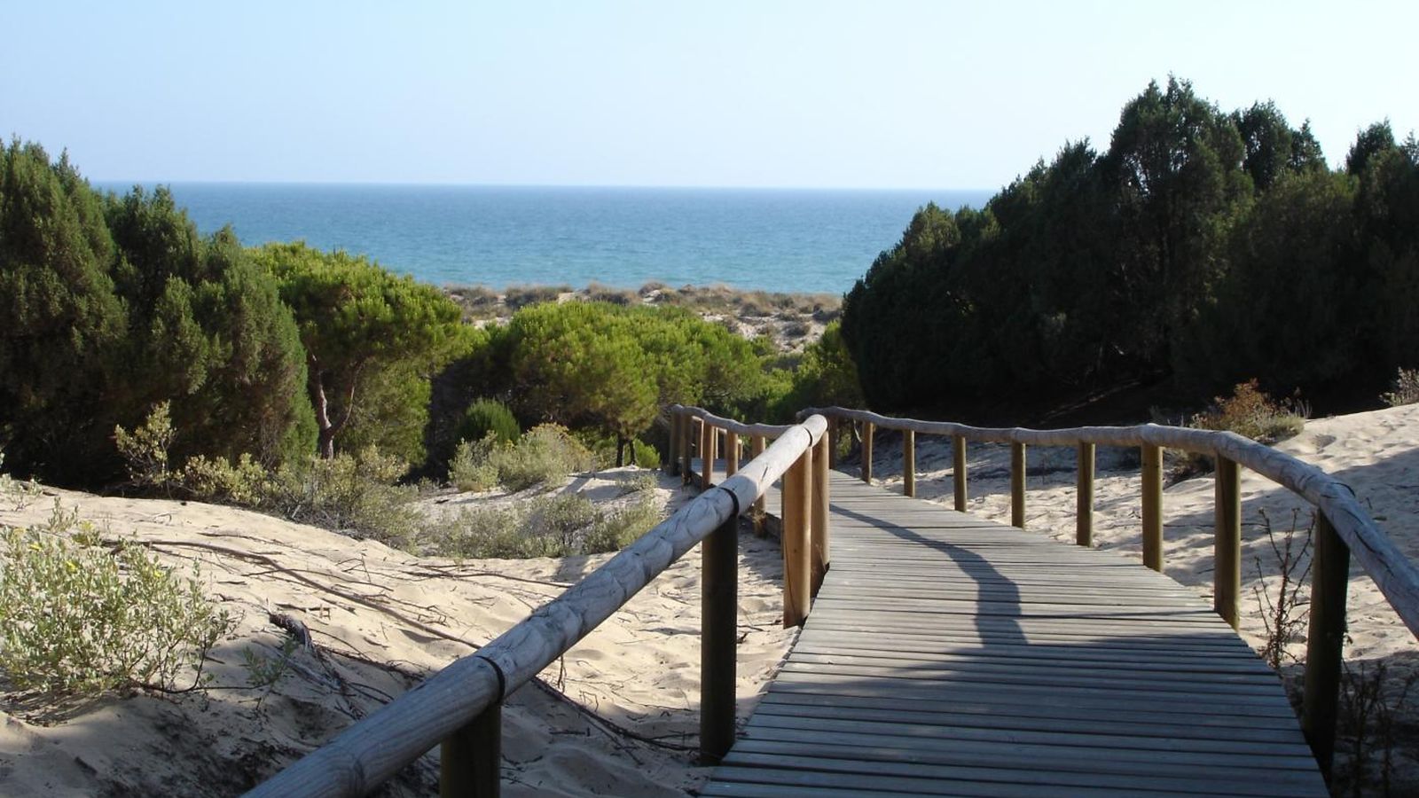 Playa de los Enebrales