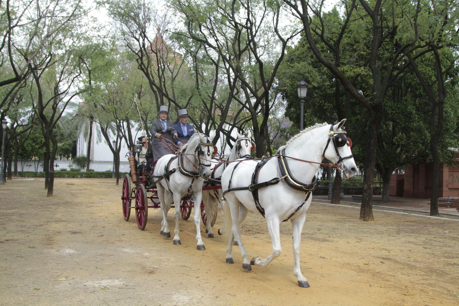 Los mejor del Concurso Internacional de enganches de Sevilla