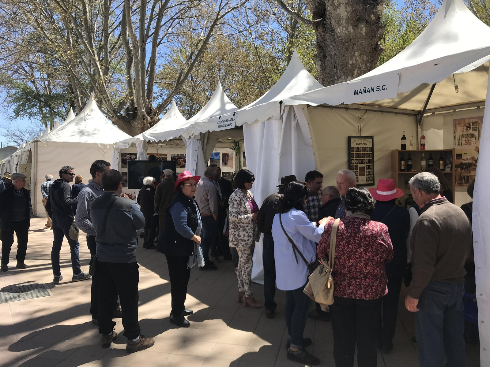 Imágenes de Terracultura 2019, en Chirivel