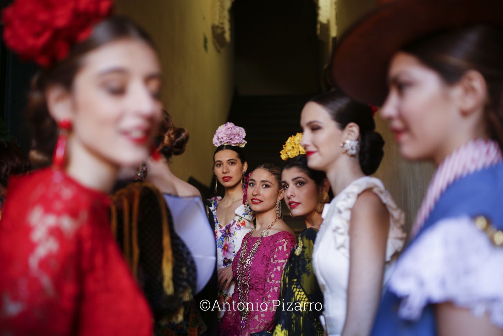 La presentación de Simof, en imágenes