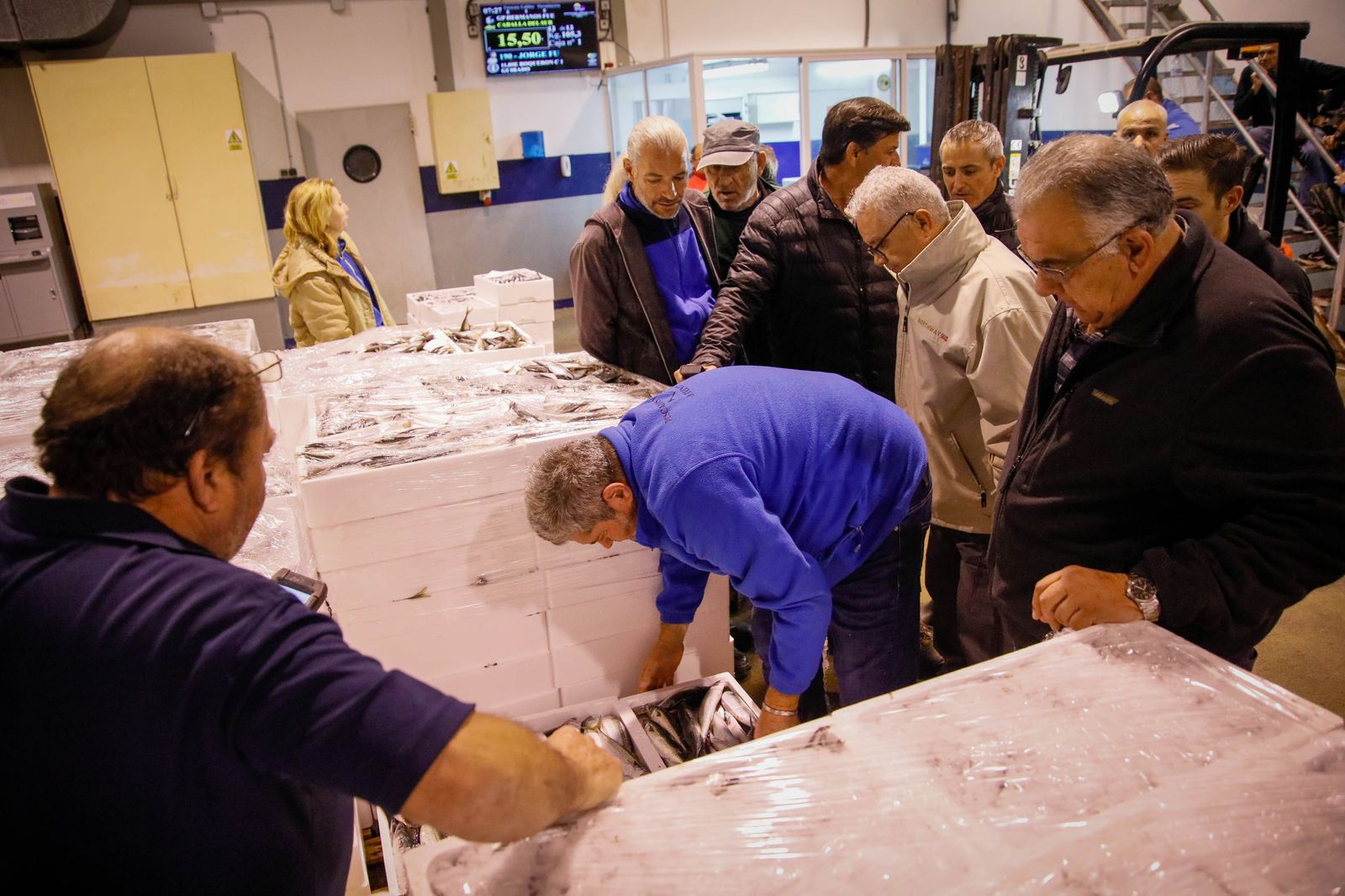 Te contamos en imágenes como ha sido la descarga de las traiñas en la lonja de Almería