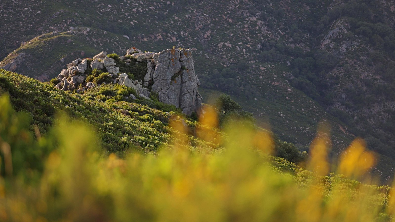 Las mejores fotos de la Senda de los Prisioneros en Algeciras