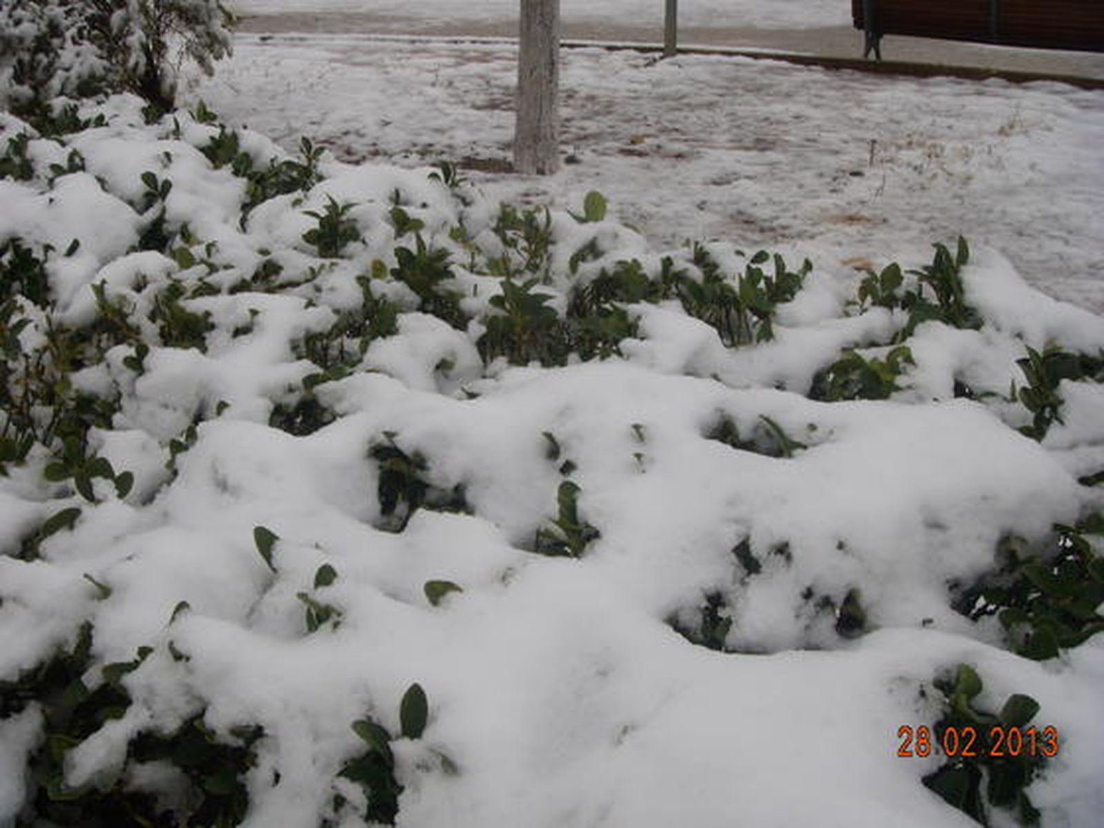 Las imágenes de las nevadas en la provincia de Sevilla