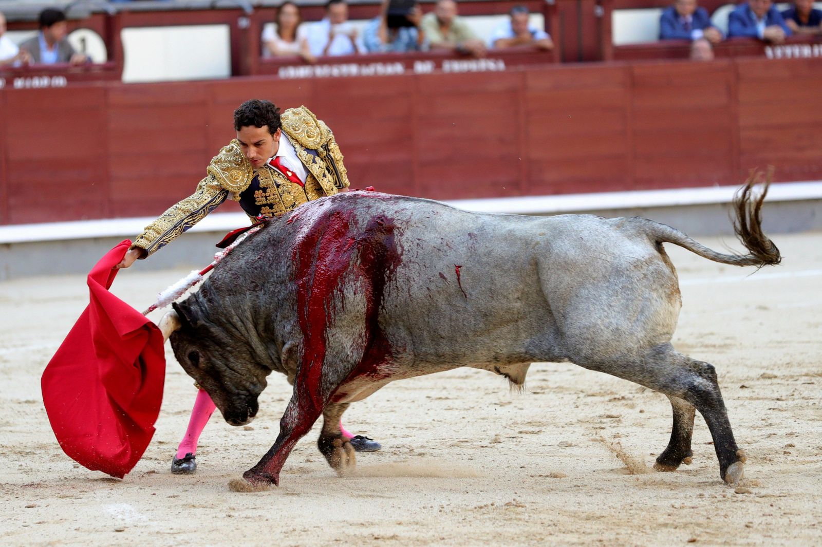 El diestro camero Oliva Soto, en un lance de recibo a su segundo toro.