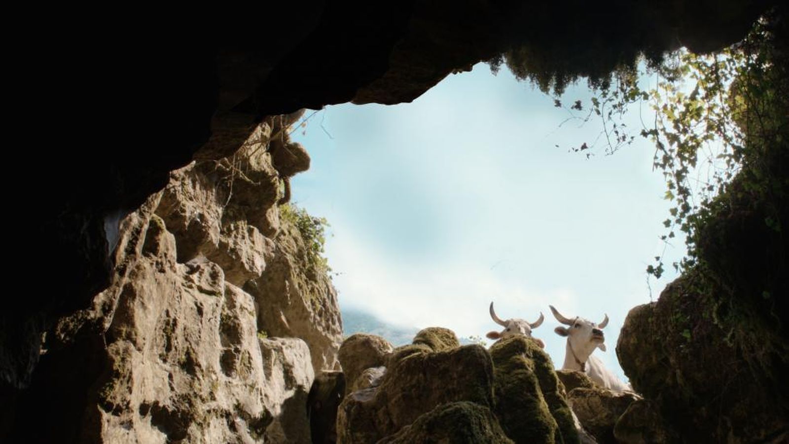 Imagen de Il Buco de Michelangelo Frammartino