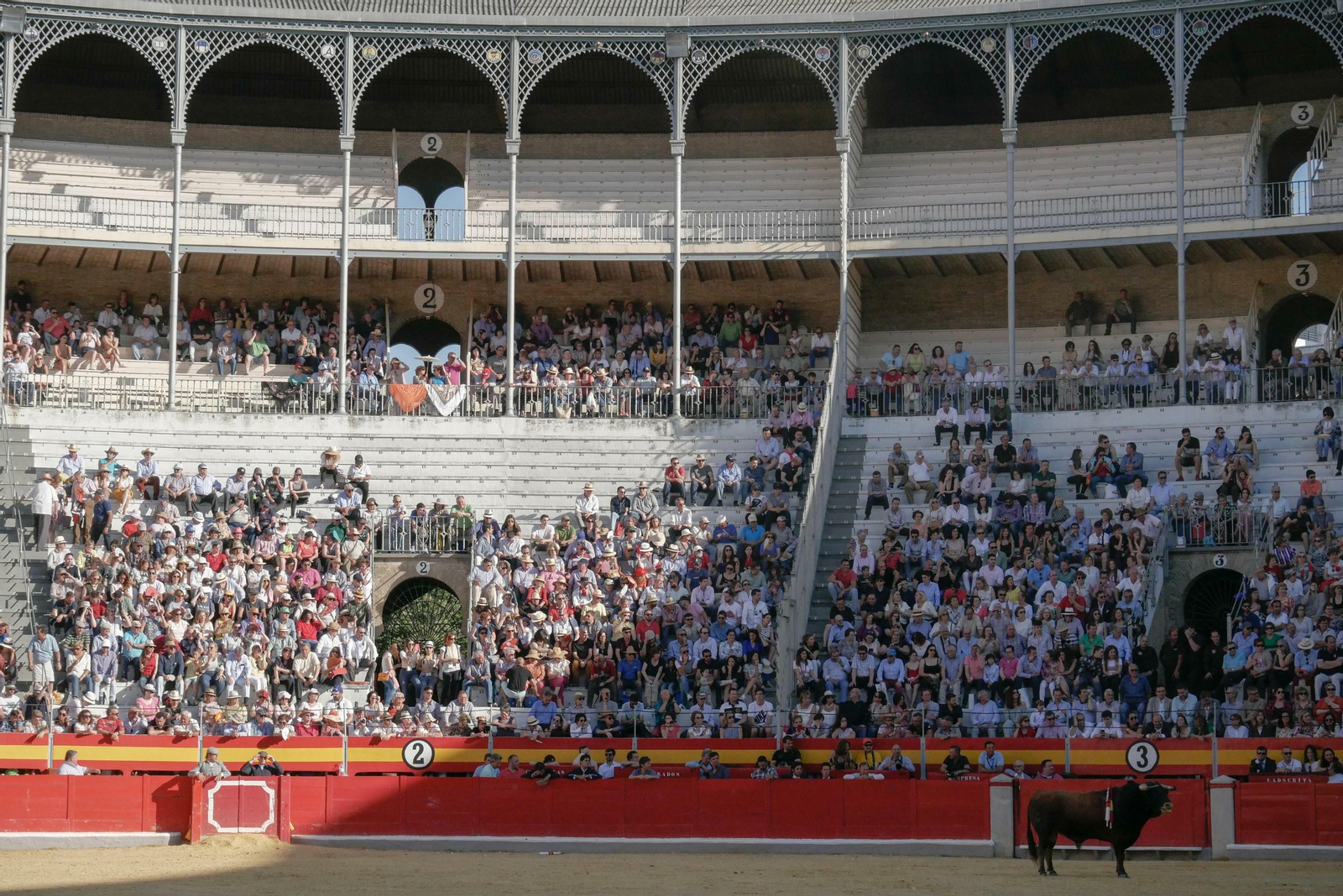 Festival taurino a beneficio de Down Granada
