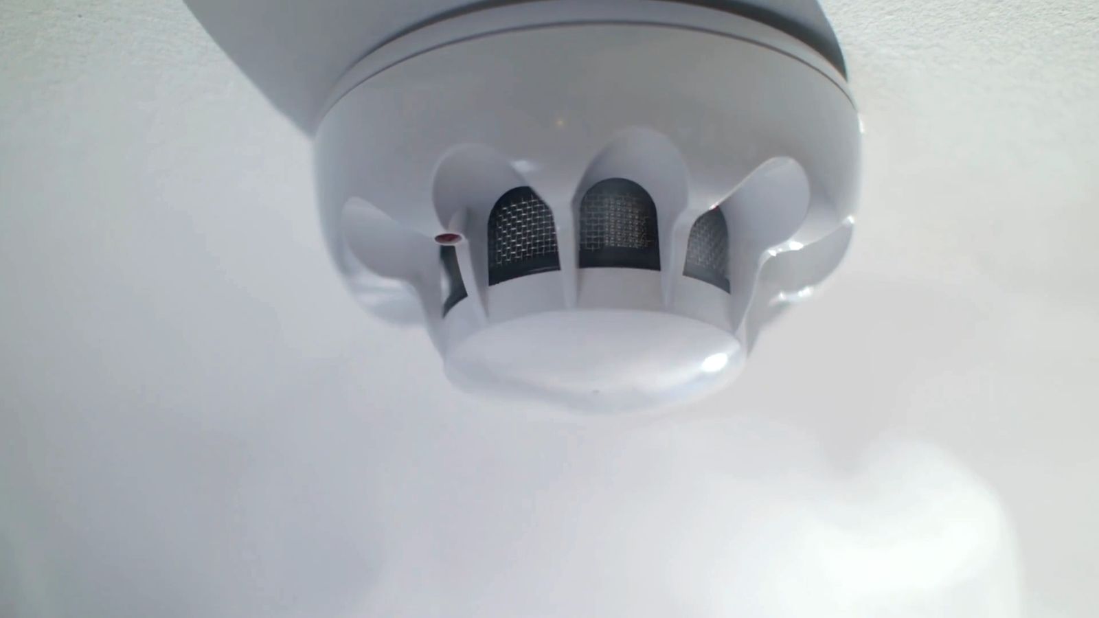 Los detectores salvan vidas