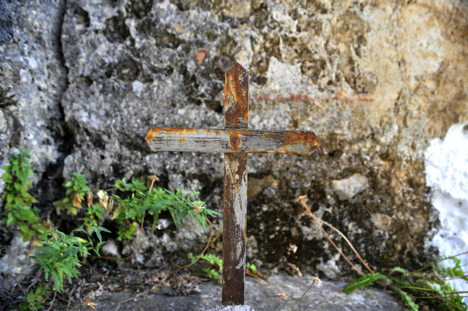 Imágenes del cementerio de Villaluenga