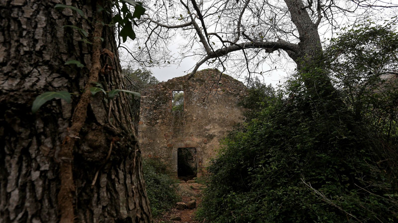 Las mejores fotos del sendero del Río de la Miel
