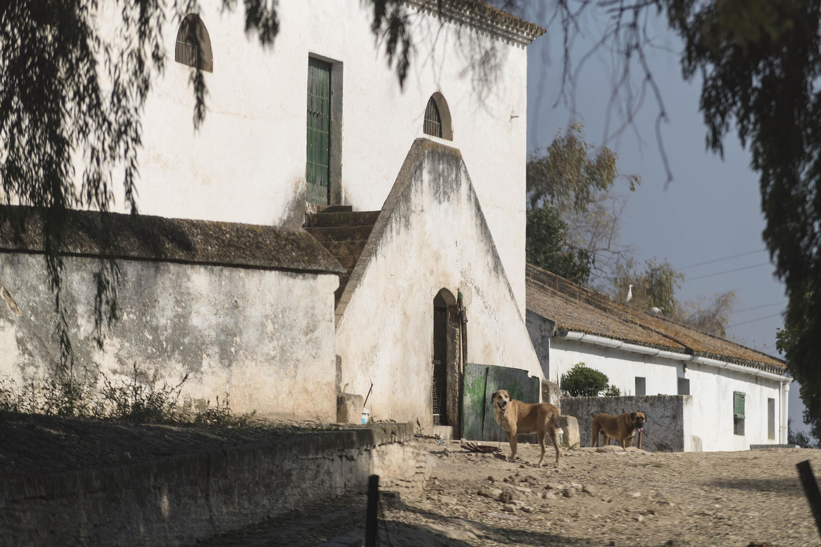 El cortijo de Gambogaz, en imágenes
