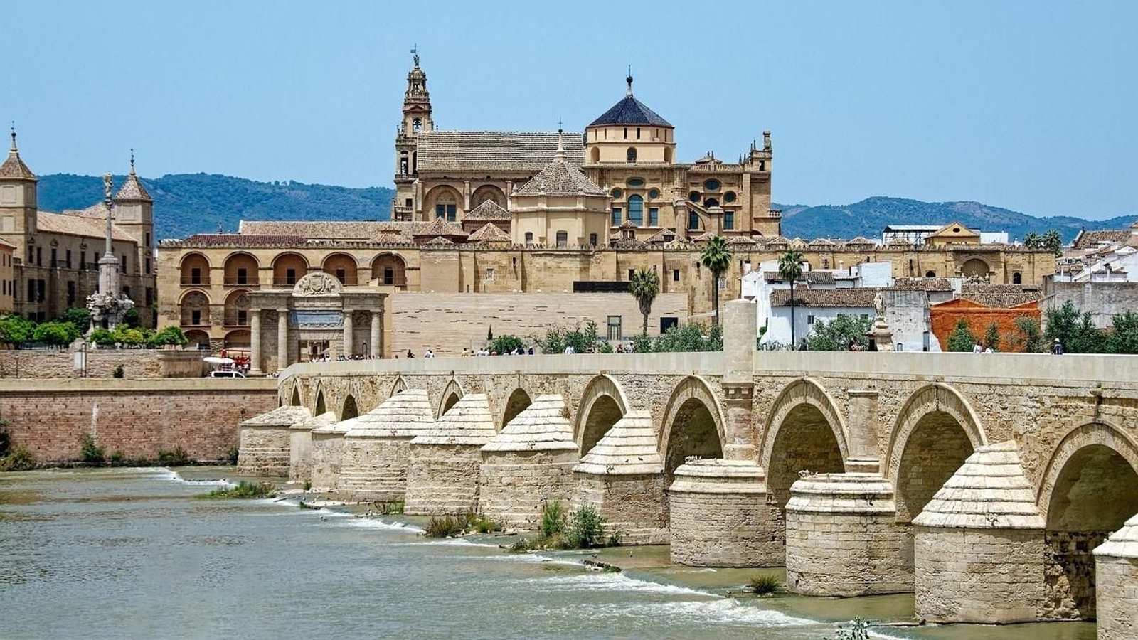 Córdoba acogió las V Jornadas Piensa en Amarillo