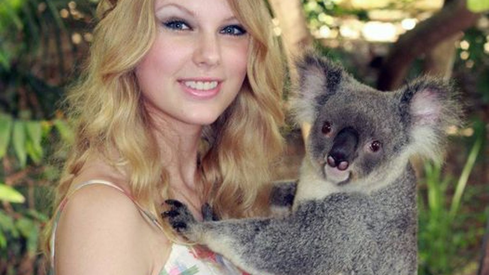 Swift con un koala en brazos