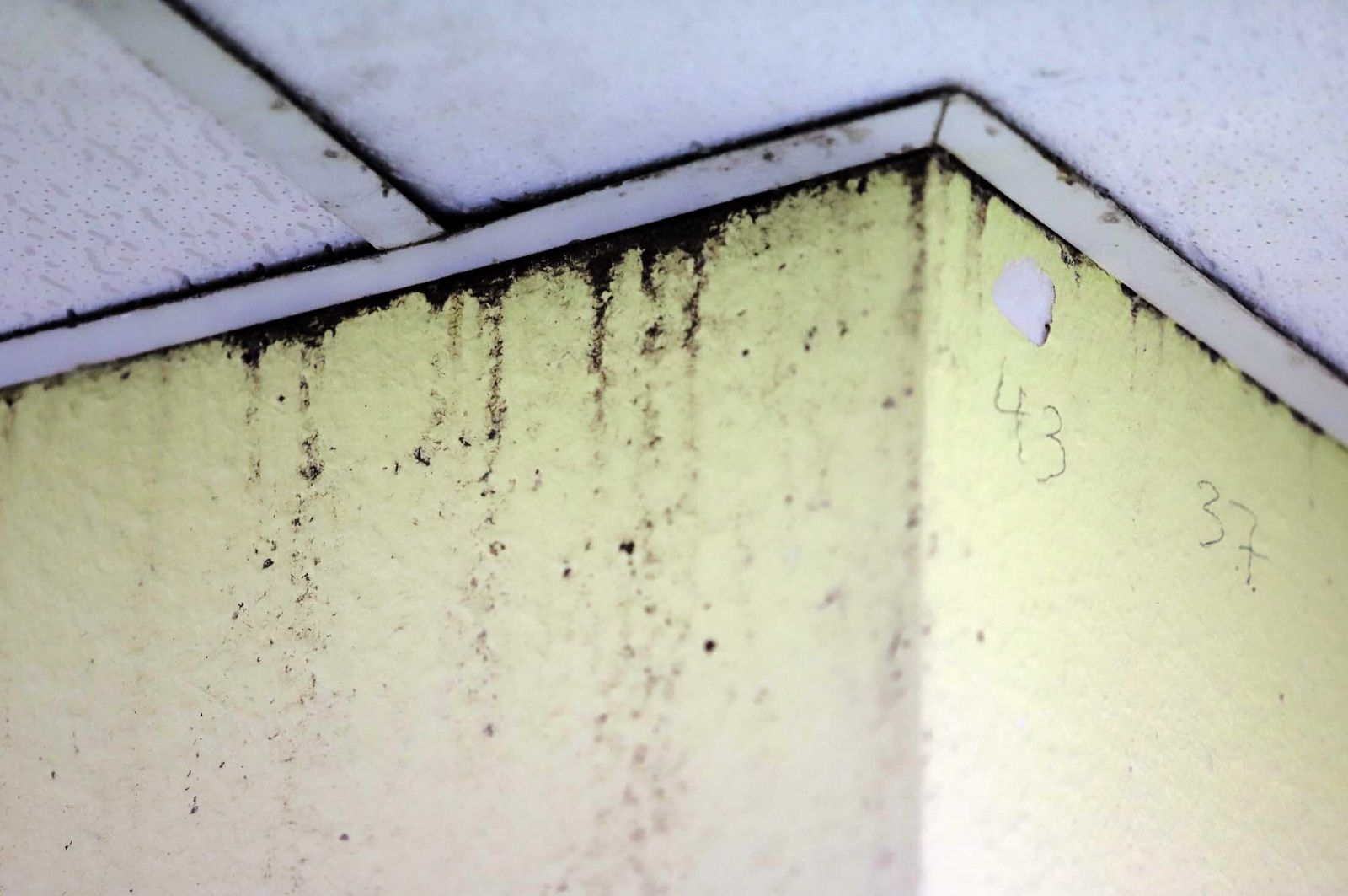 Imágenes del mal estado en el que se encuentra la Unidad de Salud Mental de la Plaza Houston