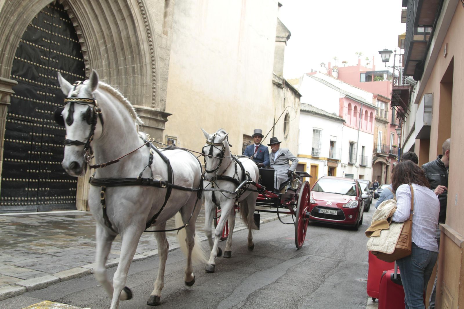 Los mejor del Concurso Internacional de enganches de Sevilla