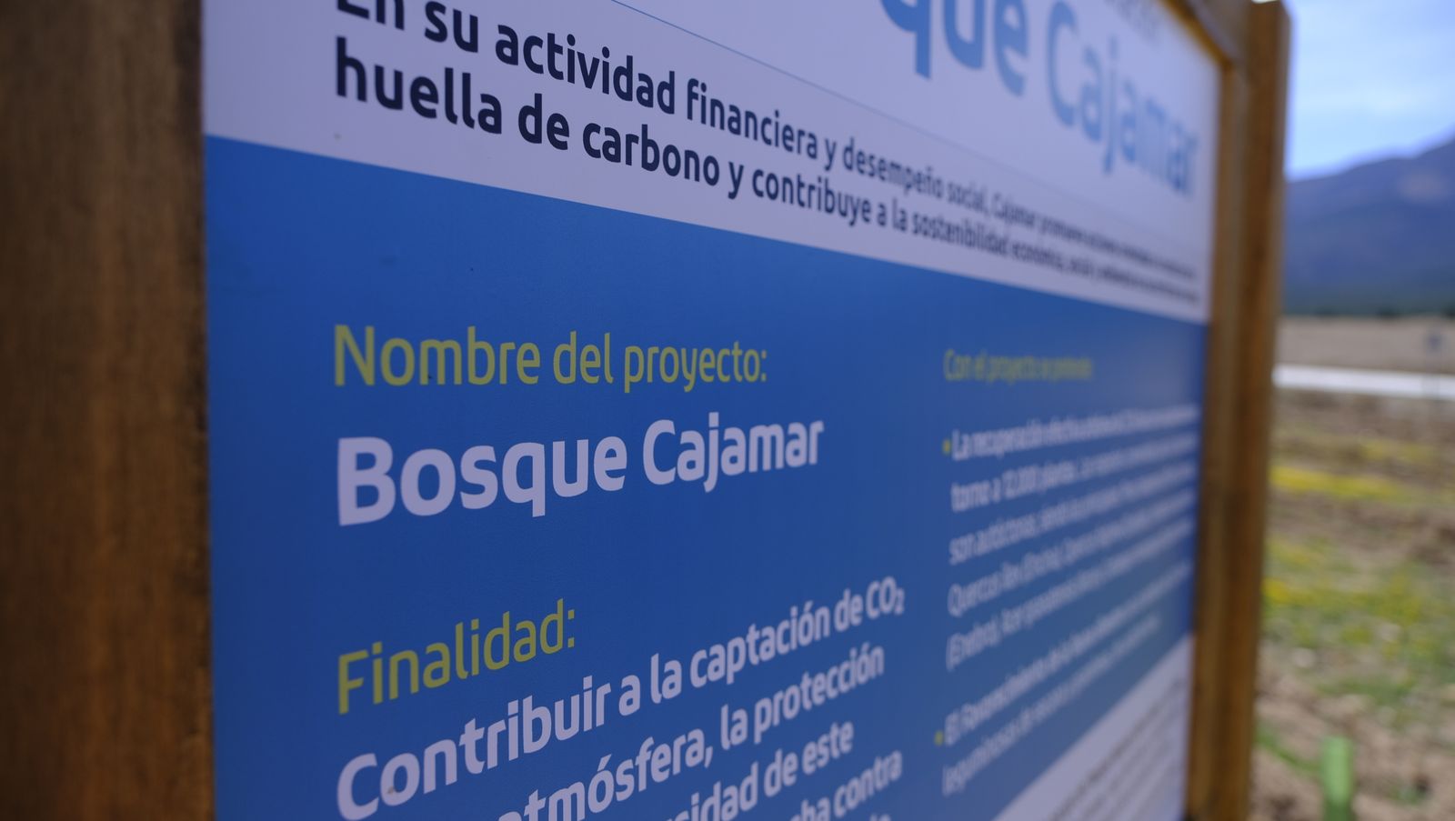 Cajamar pone 'la primera planta' para la reforestación de Sierra María-Los Vélez