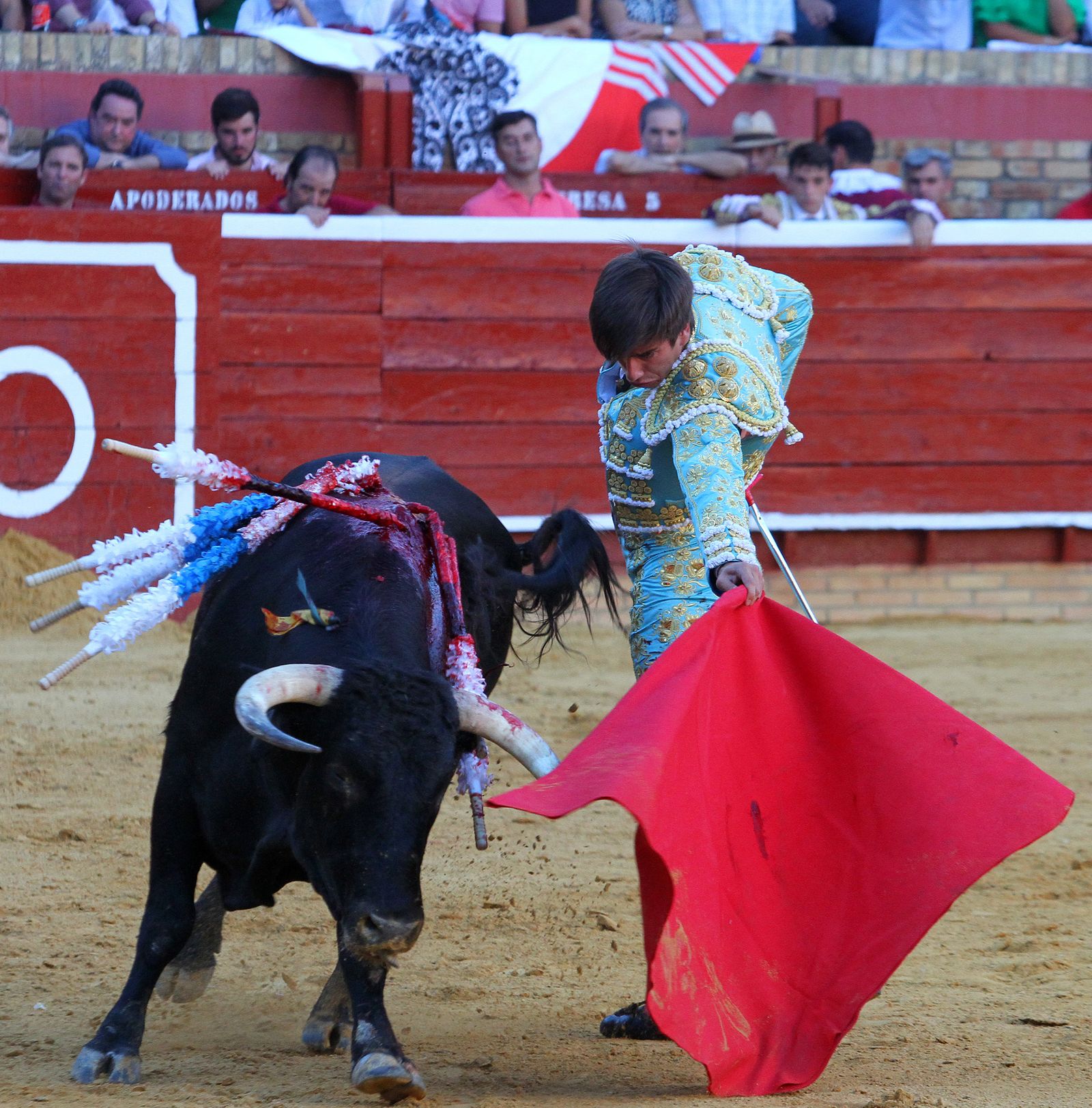 Imágenes de la Novillada de Rafael Serna, Emilio Silvera y Rodrigo Molina.
