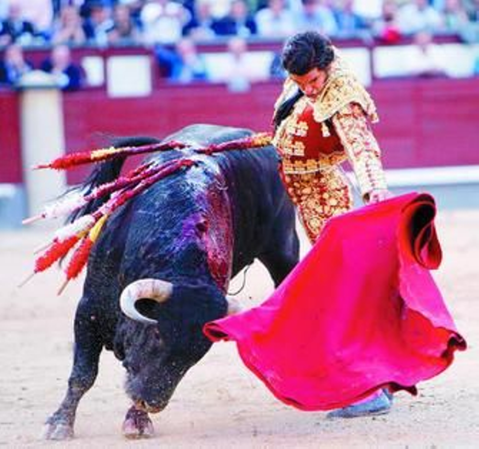 Morante de la Puebla en un natural a 'Alboroto', al que cuajó en el toreo de capa.