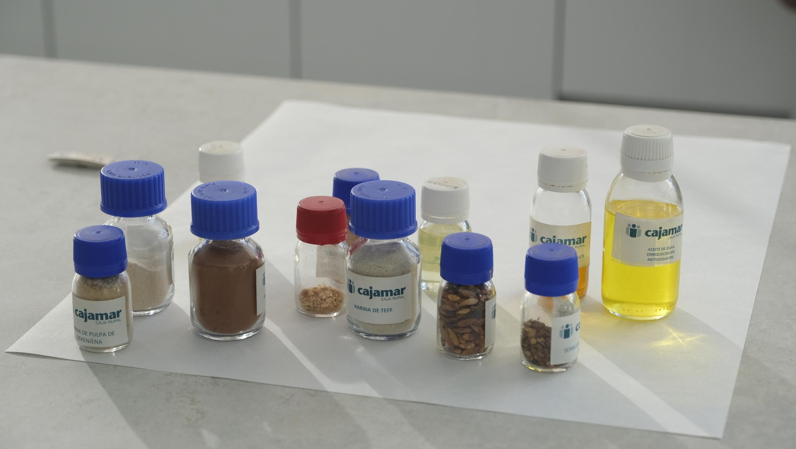 Jornada de puertas abiertas en la Estación Experimental Cajamar Las Palmerillas, en fotos