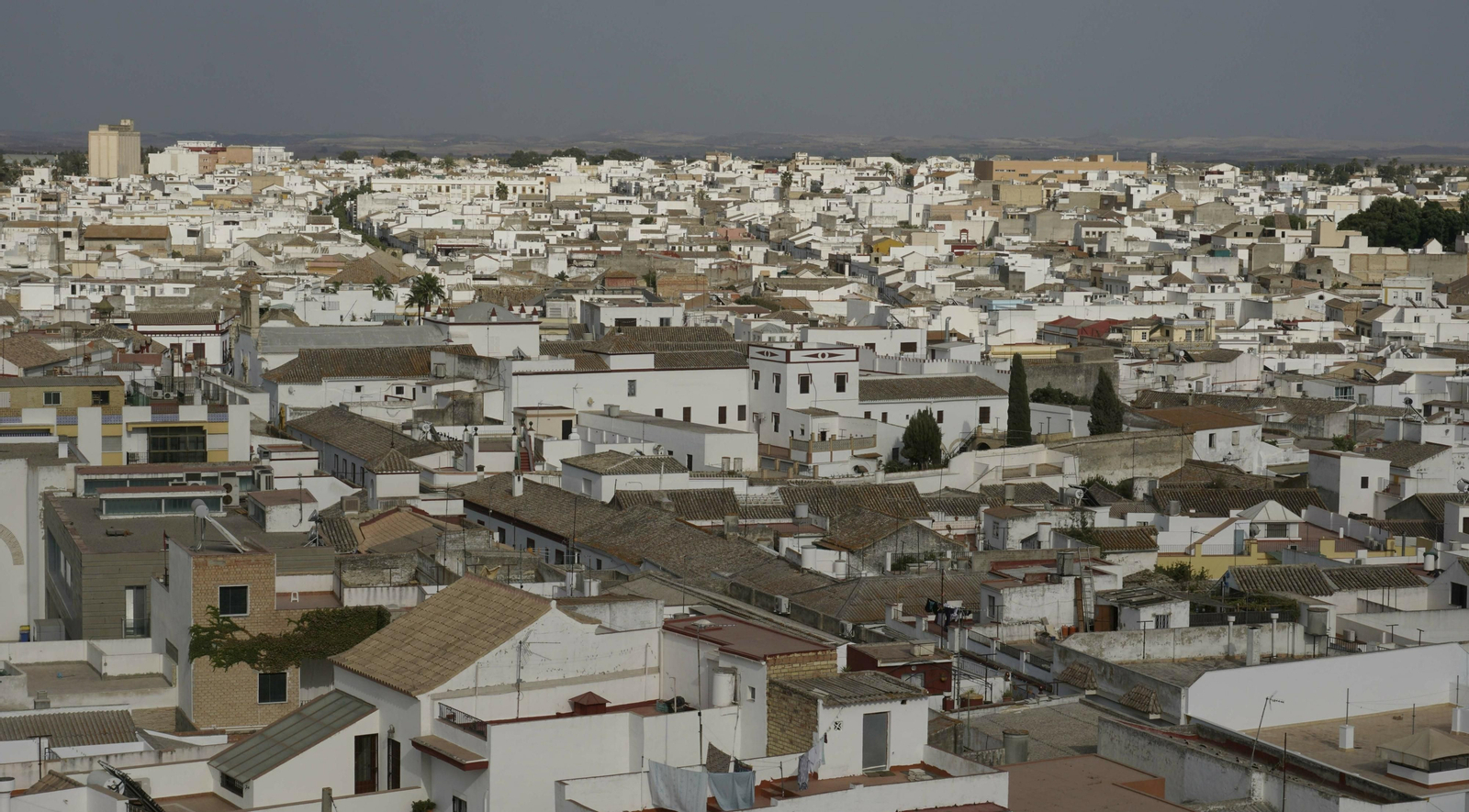Lebrija, en imágenes