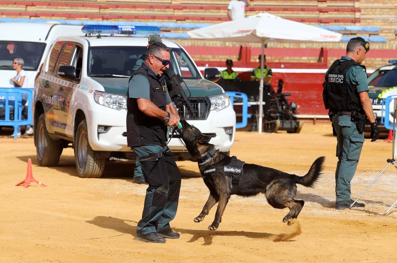 Imágenes de la Jornada de Puertas Abiertas de la Guardia Civil