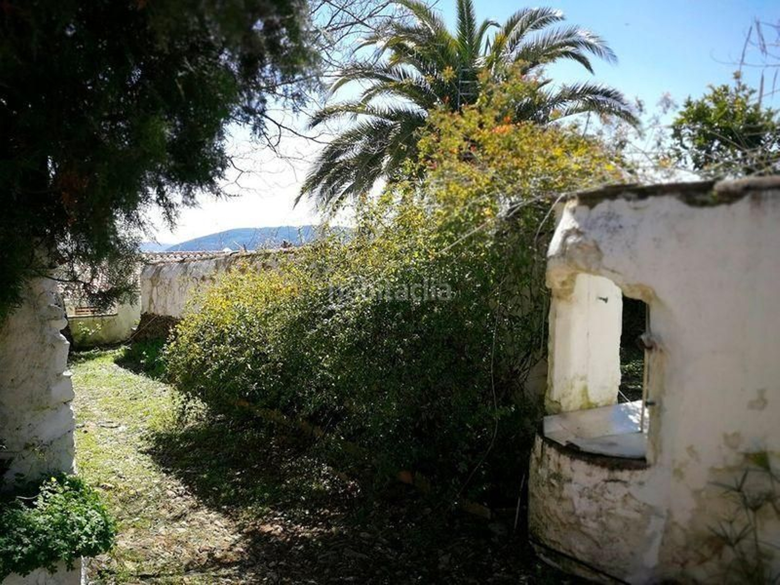 Esta imponente casa palacio en Huelva es perfecta para un hotel rural Esta imponente casa palacio en Huelva es perfecta para un hotel rural