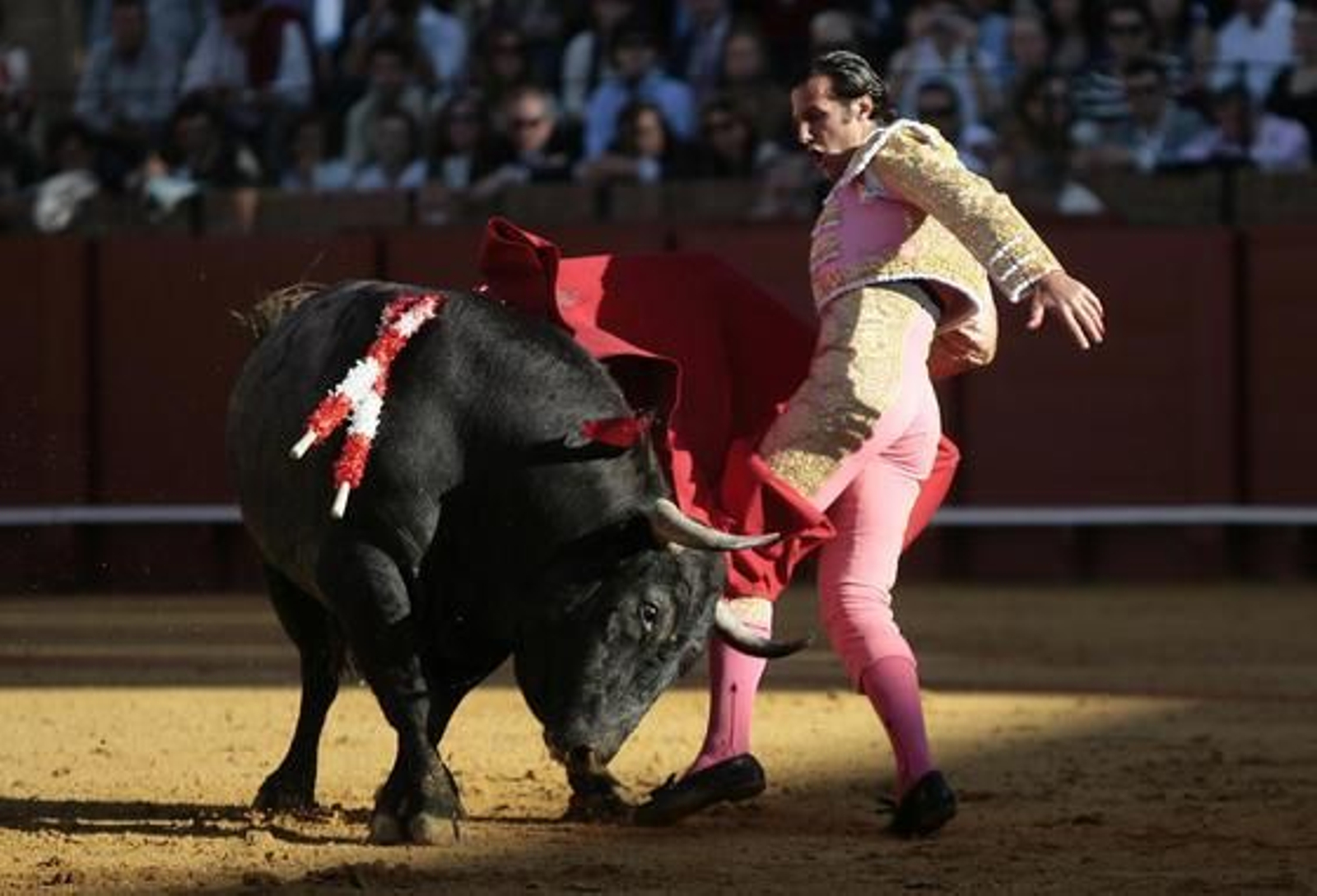 Foto: Juan Carlos Muñoz