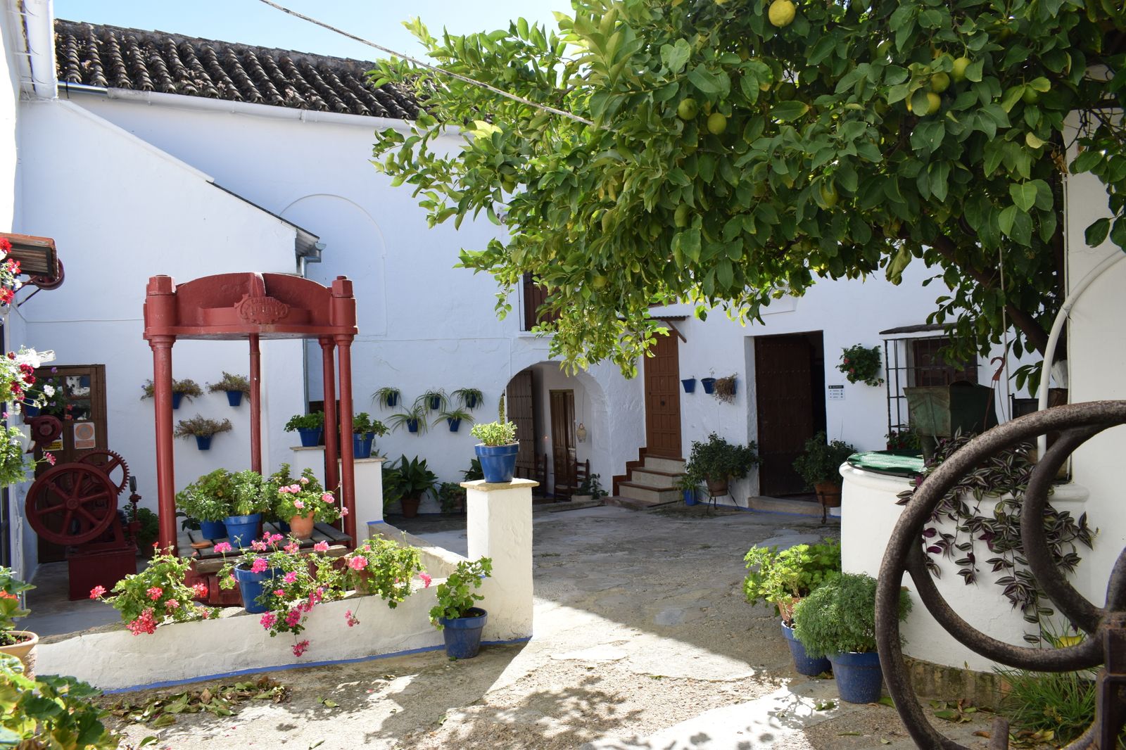 Patios de Bodega, lugares con embrujo y olor a vino y música