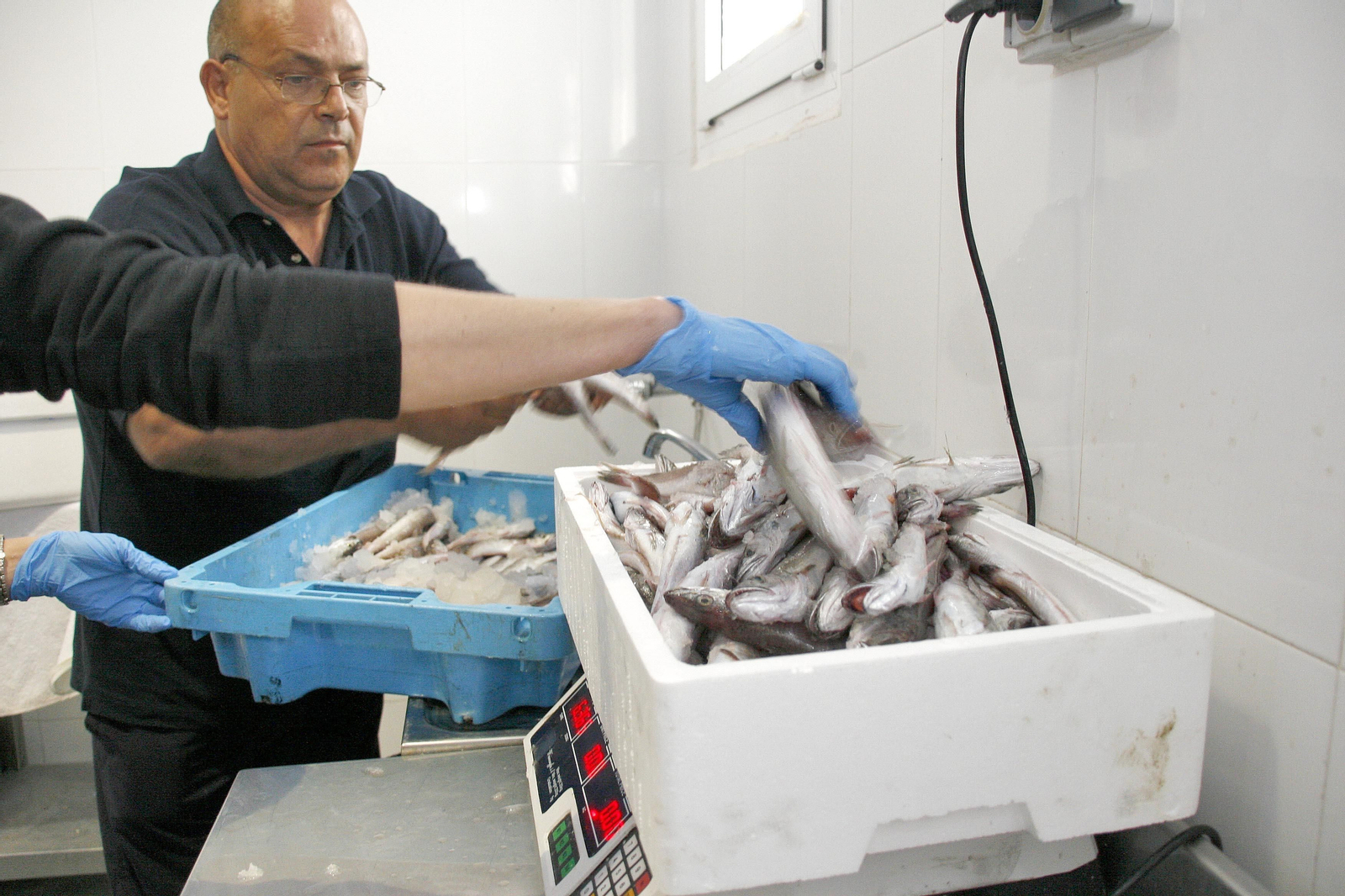 Lonja pesquera de Almería.