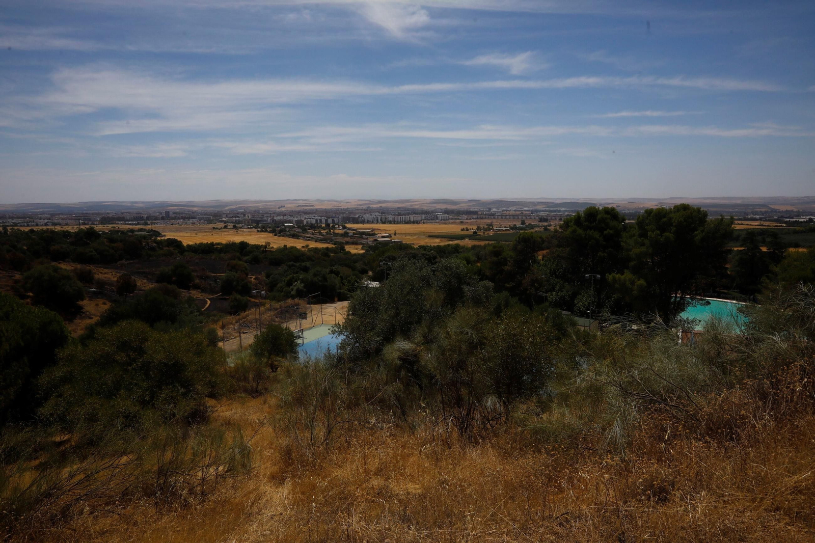 Zona cero del incendio de la Sierra de Córdoba