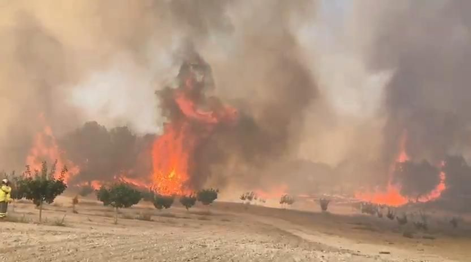 Los medios áereos del Infoca combaten el incendio forestal en Benamaurel