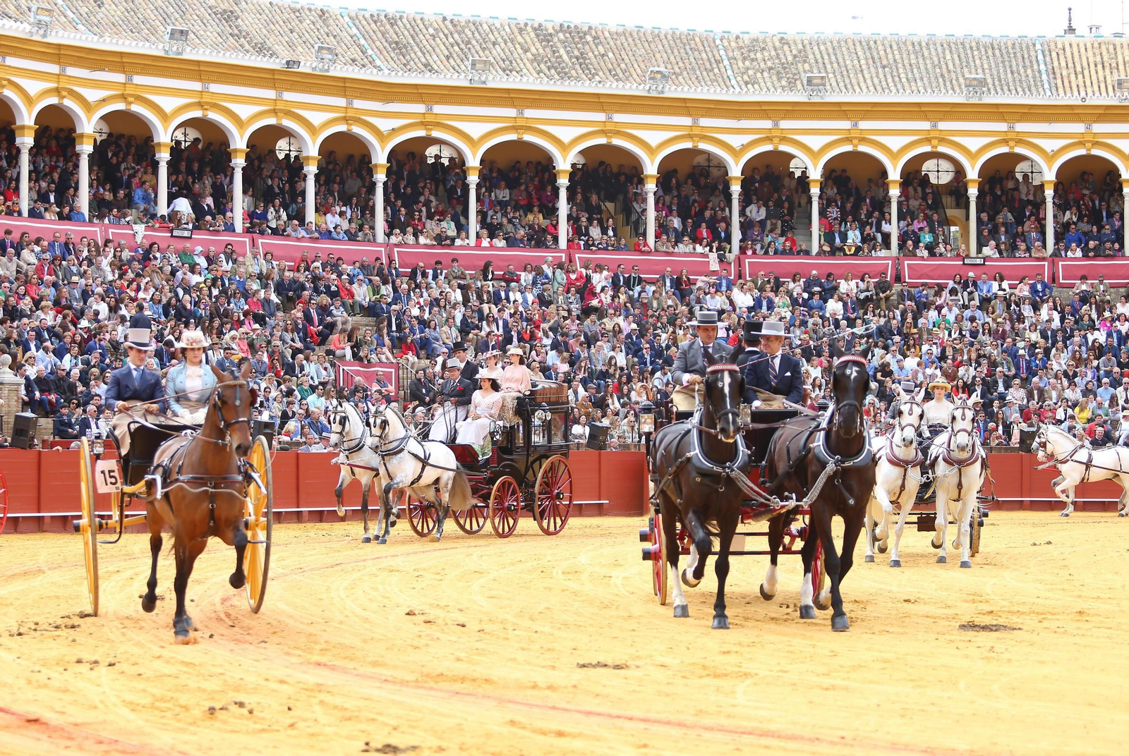 XXXIII Exhibición del Real Club de Enganches de Andalucía en la Maestranza