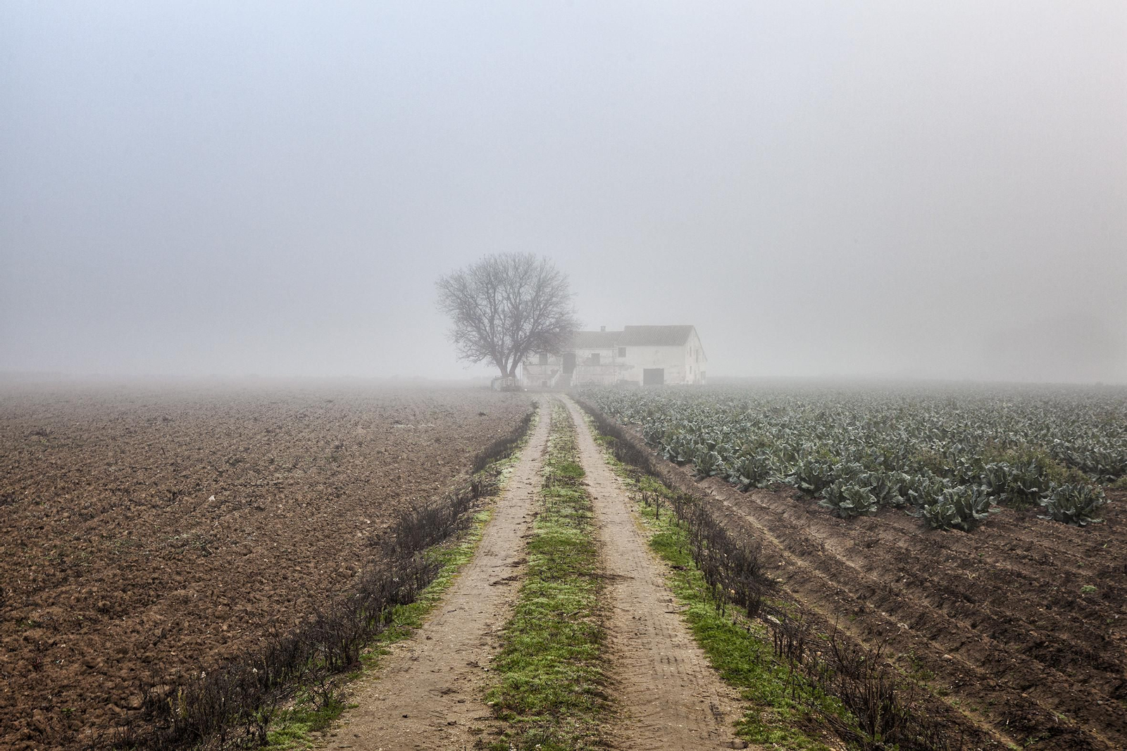 José Ramón San José Ruigómez presentó ‘Vega de Granada’, (Granada).