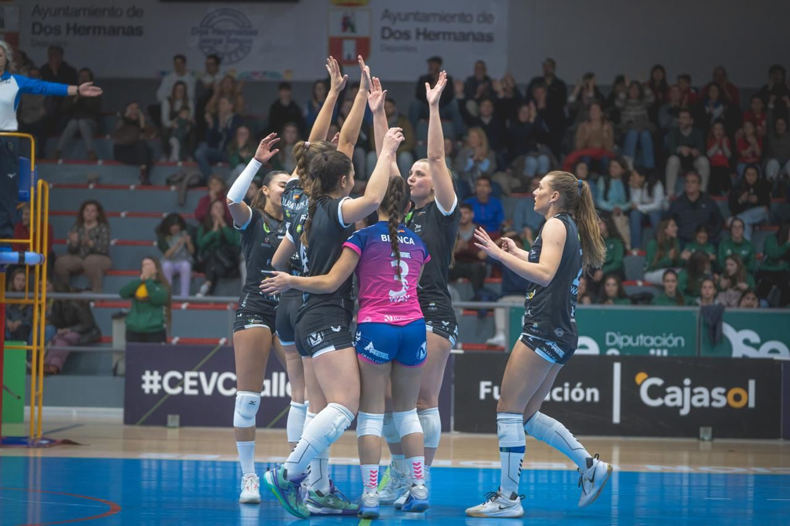 Las fotos del Fundación Cajasol Andalucía-Dynamo Apeldoorn