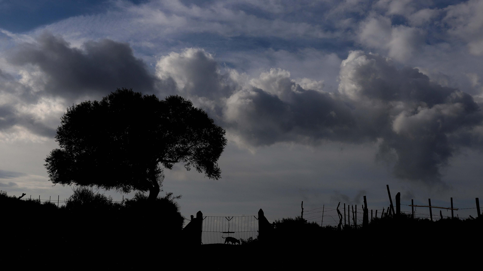 Fotos de la ruta de Fuente Urate en Algeciras
