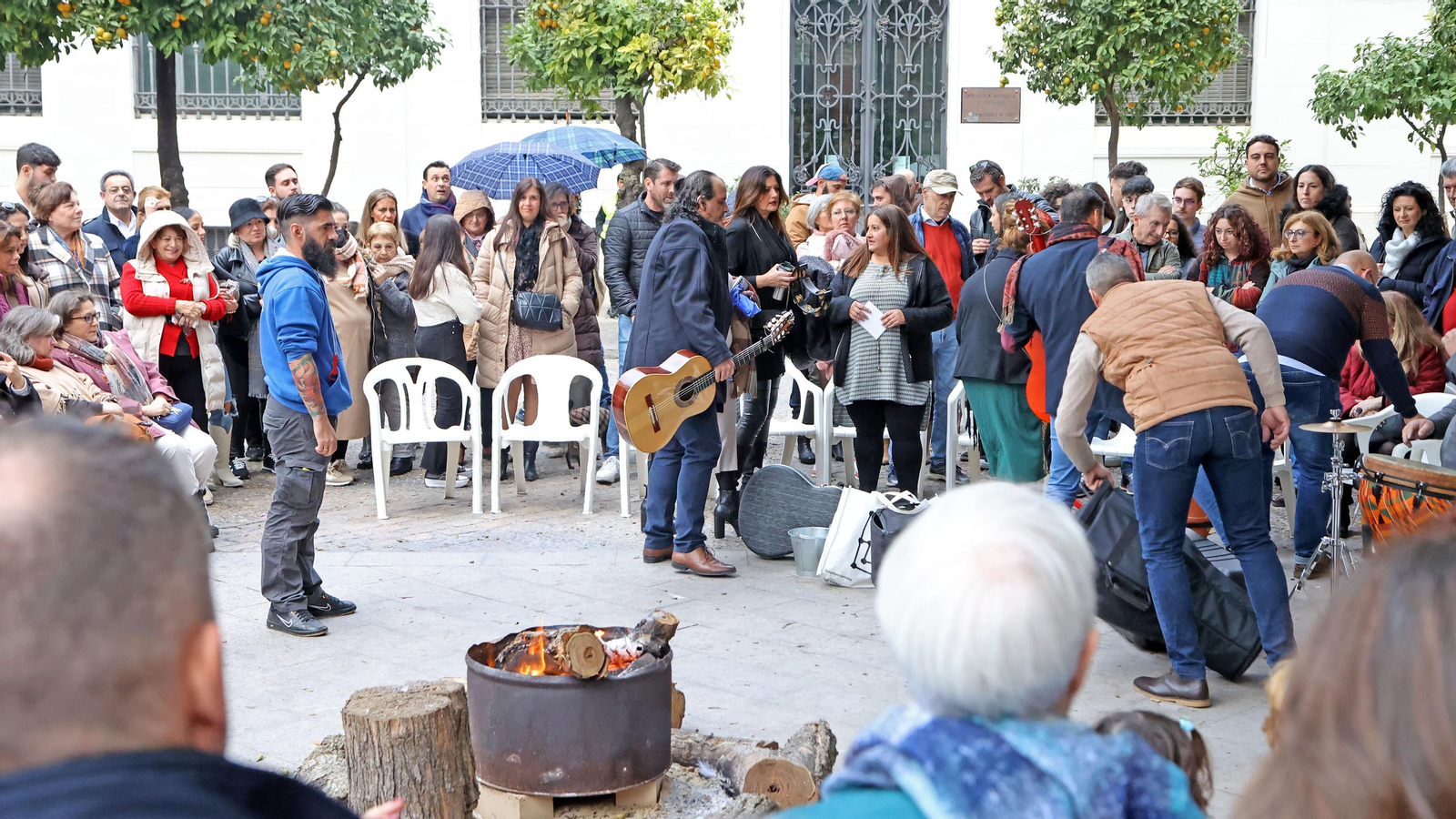 Zambombas en Jerez del sábado 3